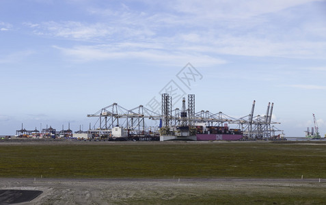 马斯夫拉克特载体鹿丹Holland14march2013新集装箱码头位于Rrotterdam附近的Maasvlakte的新集装箱图片