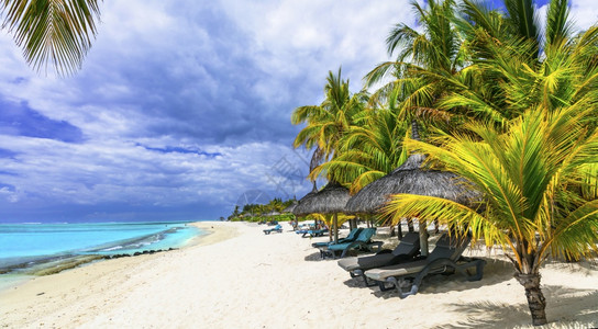 田园诗般的白色安详完美热带海滩景色毛里求斯岛假日和毛里求斯岛节日图片