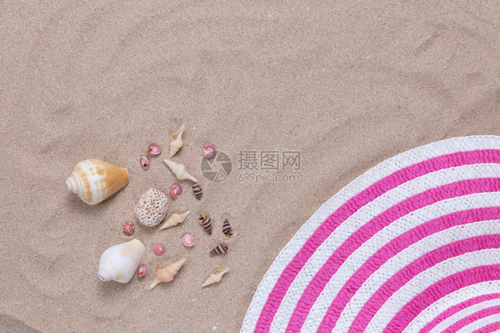 热带海岸线沙滩上的贝壳图片