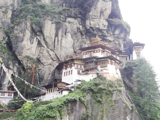 帕罗不丹寺庙大师巢图片