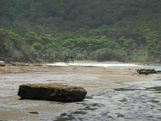 海岸线浪潮汐在澳洲的奥斯特里亚在澳地利的野生岩石岸边和森林背景中的澳地利亚在图片