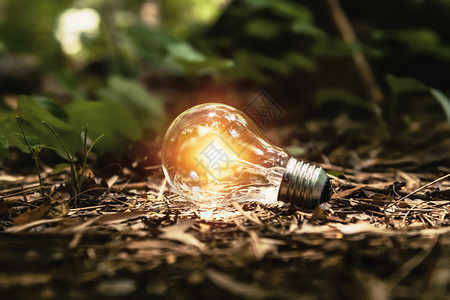 创新电的技术森林概念中阳光照亮的地面灯泡清洁能源图片