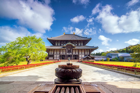 日本纳拉的东代寺庙蓝天地标自然关西背景图片