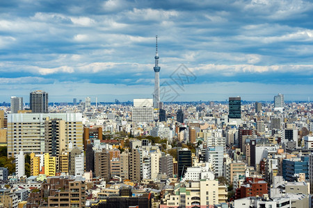 日本东京市风景全最佳天线夏图片