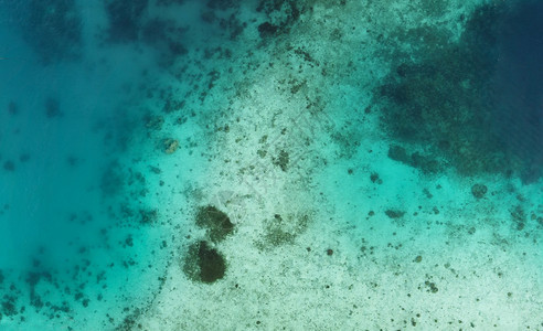 对多彩珊瑚礁的空中俯冲观察水丰富多彩的紫色图片