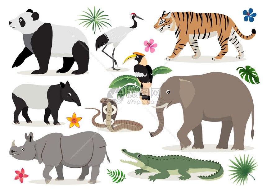 哺乳动物一组可爱的野生动物和鸟类图标儿童装饰品漫画老虎犀牛熊猫大象鳄鱼角标眼镜蛇鹤在白色背景中孤立的龙形矢量图一套可爱的野生动物图片
