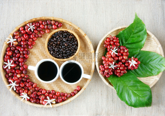 团体绿色咖啡馆红熟莓果烤豆黑咖啡绿叶竹篮上白花令人惊叹的装饰广告和谐设计亚洲图片