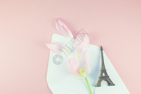 有创造力的粉色浪漫红郁金香和花瓣在打开纸信封中的粉红郁金香埃菲尔塔以粉红色背景为迷你型背景图片