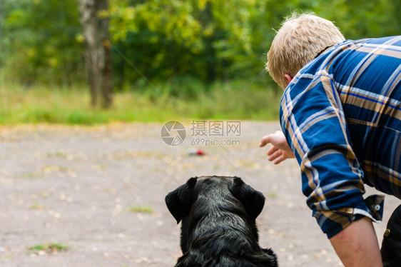 动物闲暇狗主人在户外用地平线格式训练他的拉布多检索器快乐的图片