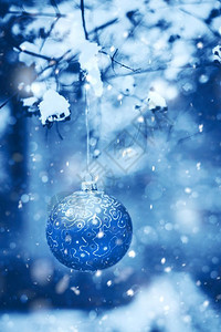 幻影玩具冷杉20年的圣诞舞会在雪园树枝上的圣诞舞会颜色经典蓝单调制图片