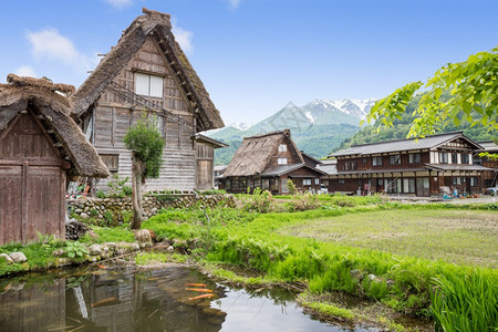 秋天古老的日本历史悠久村春季白川地日本的旅行里程碑建筑学图片