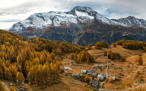 敬畏秋天草原和大山在背景上与棕树相伴风景草地图片