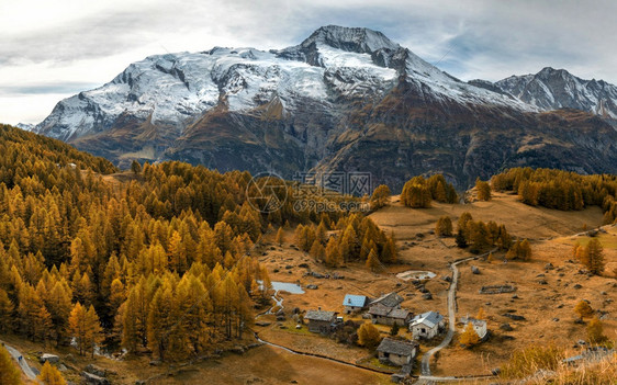 敬畏秋天草原和大山在背景上与棕树相伴风景草地图片