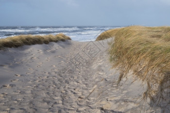天空清爽风通往德国锡尔特海滩的沙路径图片