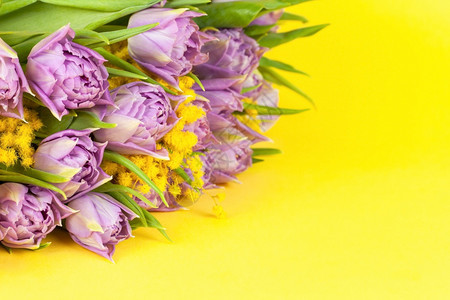 紫色的粉彩黄背景双旗郁金香和mimosas复制空间侧视3月8日214结束生情人节母亲妇女庆祝活动春季概念花束图片
