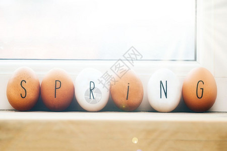 春天的鸡蛋图片