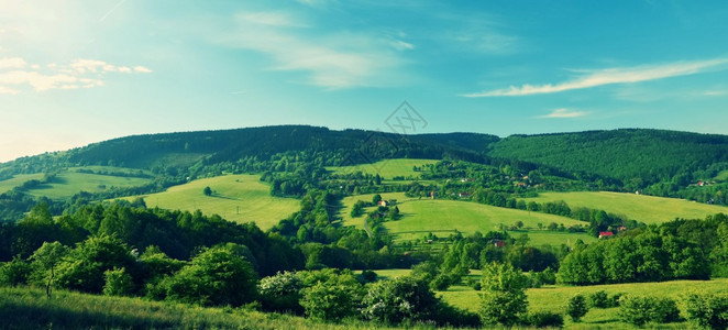 夏季山区美丽的风景捷克白喀尔巴阡山脉欧洲农村蓝色的树图片