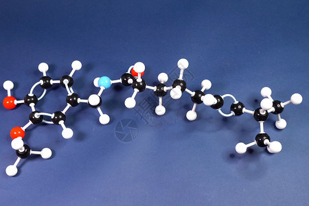 生物学有机分子模型蛋白质分子塑料模型有机分子液体吸引力图片