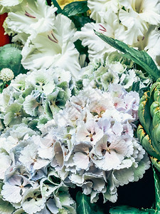 在花束中紧贴着美丽的白羽花加上法国市场的水滴移动垂直摄影和托宁Tonning盛开粉色的绿图片