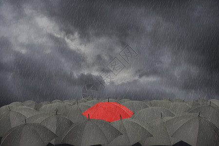 爆风雨中的海燕图片