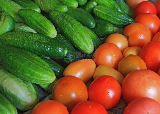 黄瓜和西红柿农业雅科夫列健康图片