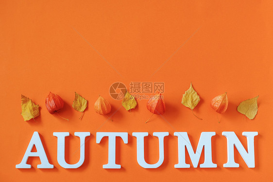 橙色背景概念你好秋天图片