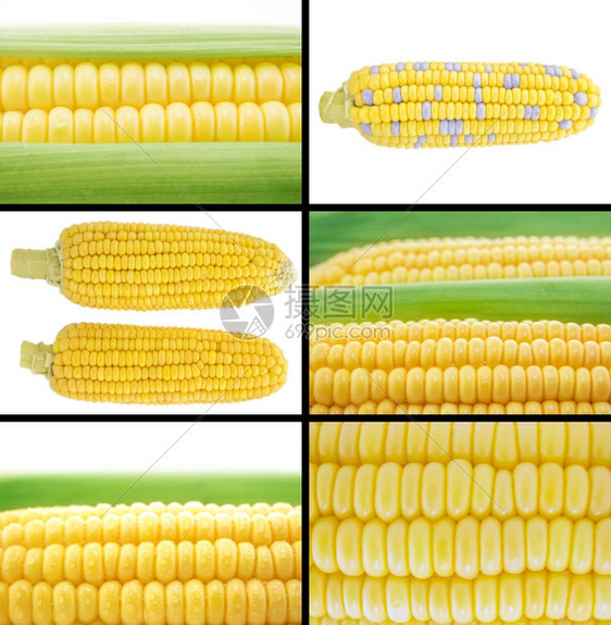 一套新鲜玉米和耳即健康有机食品的乡村素食主义者图片