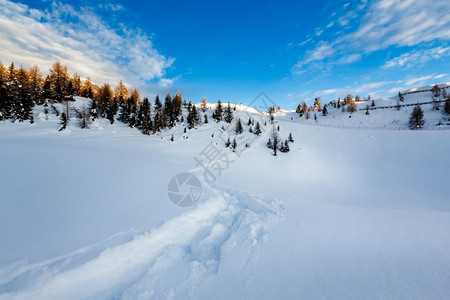 冬季雪景雪地风光图片