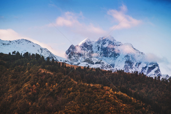 森林格鲁吉亚梅斯蒂瓦涅佩克乌什巴峰Svaneti雪调色图片