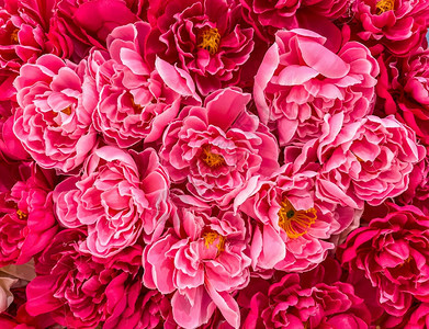 从织物上缝合多彩的人工花朵在购物商场墙壁上的心脏形状用于在节日中装饰展品背景的前视人造为了开花图片