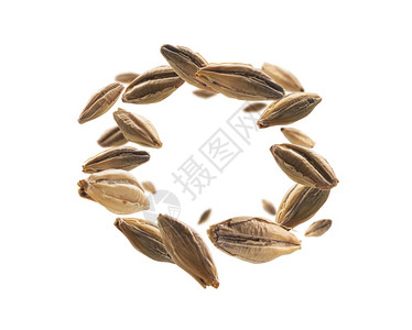 大麦芽粒悬浮在白色背景上大麦芽粒悬浮在白色背景上oopicapi工艺种子图片
