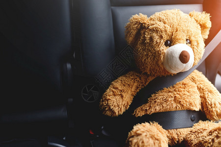 塞满单身的棕色泰迪熊戴汽车安全带图片