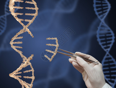 裸工程治疗DNA分子和手与tweezers3d化成图片