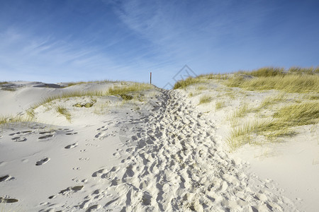 德国北弗里西亚群岛阿姆鲁的阳光明媚蓝天空下沙地上有海路通向洋的沙丘马拉姆草和脚印位于德国北弗里西安群岛Amrum景观有风波罗的海图片