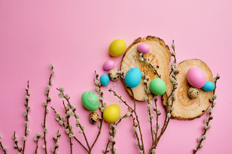 生活木制背心粉色底彩蛋春树开花和香食庆祝节日的鲜花装饰活动符号柳叶枝和木制背心鸡的东蛋绽放植物群图片