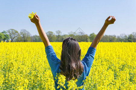 女手势荷兰在黄色的鲜花田中快乐的妇女举起手来年轻妇女对黄色的强暴种子田地怀起双臂来表达幸福图片