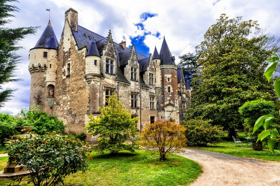 卢瓦尔河谷美丽的浪漫城堡蒙特雷索城堡著名的和法国卢瓦尔河谷罗马化城堡的地标法国蒙特雷索山里程碑和历史遗迹文化农村优雅的图片