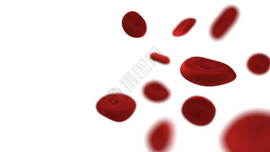 毛细管红胞团体医学和卫生保健概念Hemomeglobin和身体部分主题解剖专3D插图以孤立的白底本红血细胞为主图片