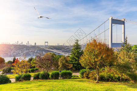 全景城市伊斯坦布尔博普鲁海峡上的法提赫苏丹桥从Otagtepe公园欣赏到伊斯坦布尔博普鲁海峡上的法提赫苏丹桥从公园欣赏到自然图片