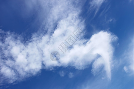天气抽象的奇异白云仿佛巨鸟对蓝天风景优美变化图片