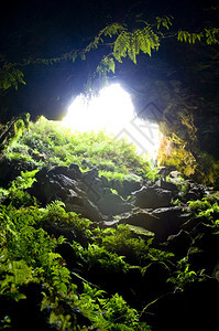 进入自然洞穴含红绿热带杂草丛生澳大利亚人图片