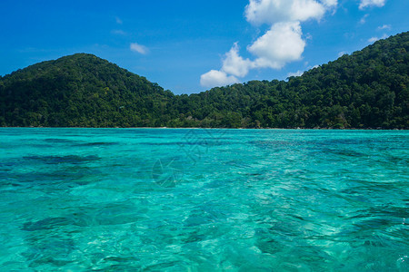 海滩泰国素林岛热带屿和船绿色图片