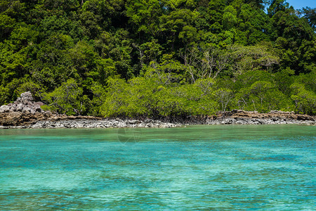 天堂钓鱼泰国素林岛海热带屿和蓝色的图片