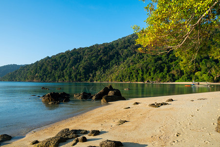 泰国素林岛海热带屿和山夏天水图片