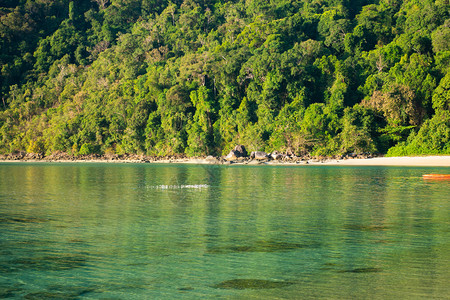 钓鱼泰国素林岛海热带屿和绿色亚洲图片