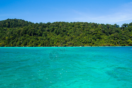 明亮的泰国素林岛热带屿海泰国苏林岛滩森图片