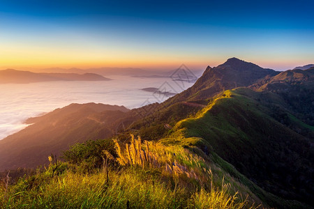 夏天清晨雾和日出高山的风景最佳森林图片