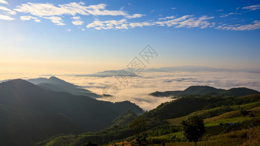 清晨时风景在山上的海雾美丽山地标志泰国江莱草场景时间图片