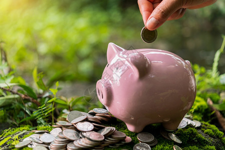 将硬币手工投进小猪银行以节省资金概念融和会计模型保险户外图片