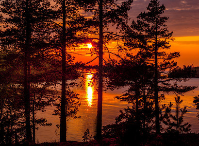 日落时太阳和湖的景象日落时阳光和湖蓝色的树支撑图片
